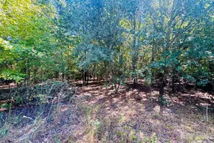 Lot 166 Brangus Ln, Cheraw, SC 29520 - Photo 1