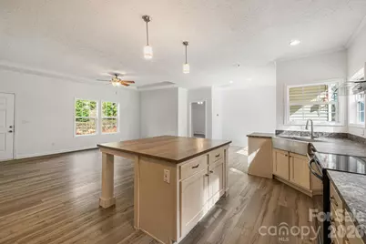 17 Berry Hill Road, Asheville, NC 28806 - Photo 12