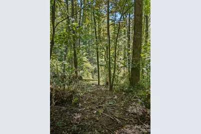 6 Pioneer Lane, Hendersonville, NC 28792 - Photo 24