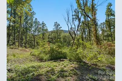 6 Pioneer Lane, Hendersonville, NC 28792 - Photo 22
