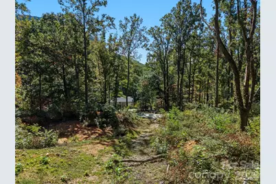 6 Pioneer Lane, Hendersonville, NC 28792 - Photo 10