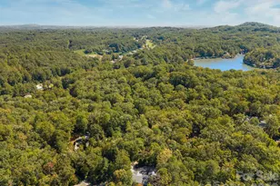 69 Eargle Rd, Tryon, NC 28782 - Photo 48
