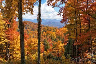 2222 Sleepy Hollow Dr, Waynesville, NC 28785 - Photo 6