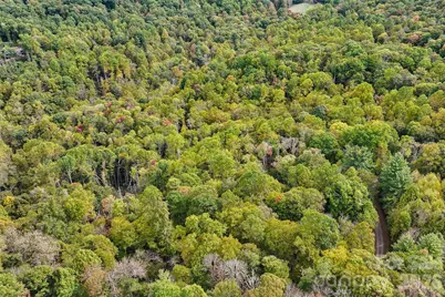45 Smoke Vine Trail, Clyde, NC 28721 - Photo 28