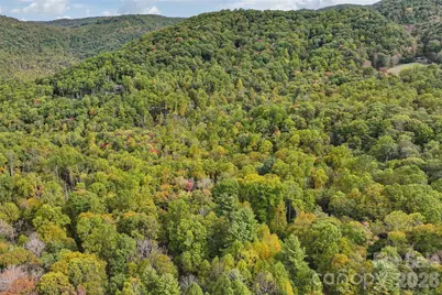 45 Smoke Vine Trail, Clyde, NC 28721 - Photo 30