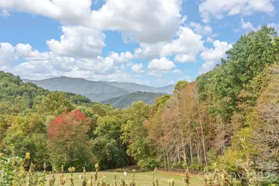 45 Smoke Vine Trail, Clyde, NC 28721 - Photo 10