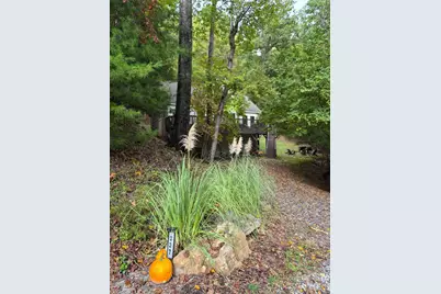 237 Mallard Road, Lake Lure, NC 28746 - Photo 4