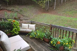 237 Mallard Rd, Lake Lure, NC 28746 - Photo 2