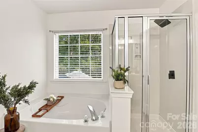 230 River Clay Road, Fort Mill, SC 29708 - Photo 26