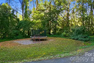 38 Lee Matheson Rd, Taylorsville, NC 28681 - Photo 44