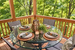 220 Rainbow Terrace, Black Mountain, NC 28711 - Photo 2