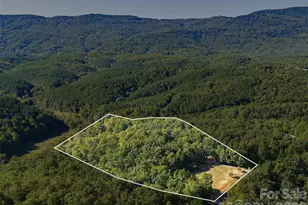 620 N Highland Rd, Mill Spring, NC 28756 - Photo 48
