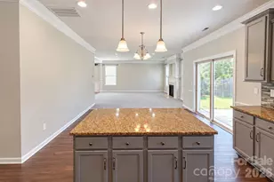 7041 Carnwarth Lane, Indian Land, SC 29707 - Photo 12