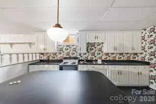 221 Lee Black Rd, Cherryville, NC 28021 - Photo 42