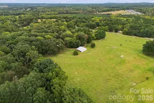 221 Lee Black Rd, Cherryville, NC 28021 - Photo 10