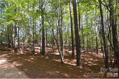 4001 Deer Park Lane #271-A, Belmont, NC 28012 - Photo 10