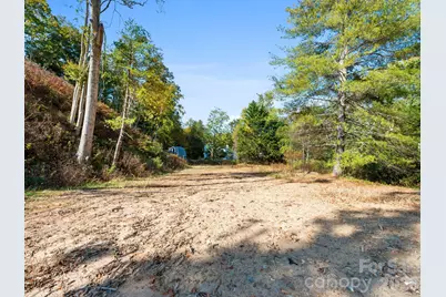 239 Baird Cove Road, Asheville, NC 28804 - Photo 26