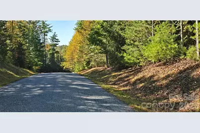 208 Turning Leaf Drive #166, Nebo, NC 28761 - Photo 4