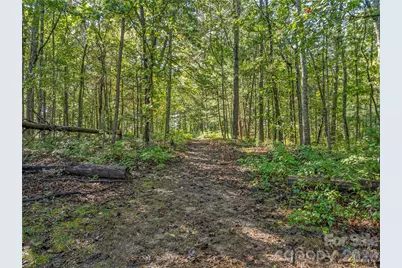 99999 Hi Alta Avenue, Asheville, NC 28806 - Photo 10