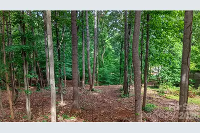 7124 Nancy Lee Circle, Sherrills Ford, NC 28673 - Photo 6