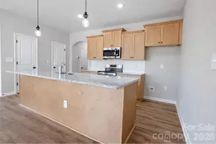 3107 Aberleaf Ln, Charlotte, NC 28227 - Photo 6