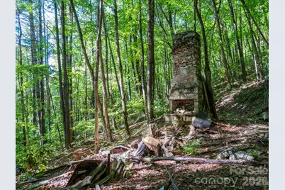 00 Orion Davis Road, Waynesville, NC 28786 - Photo 10