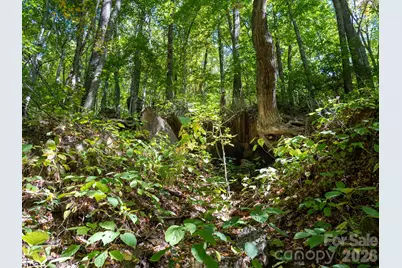 00 Orion Davis Road, Waynesville, NC 28786 - Photo 12