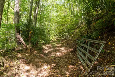 00 Orion Davis Road, Waynesville, NC 28786 - Photo 4