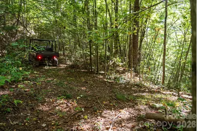 00 Orion Davis Road, Waynesville, NC 28786 - Photo 34