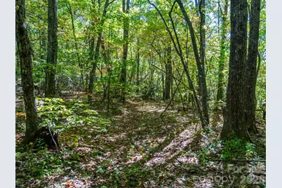 00 Orion Davis Road, Waynesville, NC 28786 - Photo 24