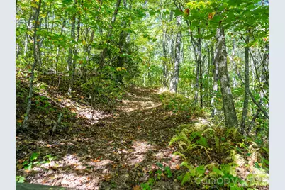 00 Orion Davis Road, Waynesville, NC 28786 - Photo 28