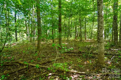 00 Orion Davis Road, Waynesville, NC 28786 - Photo 22