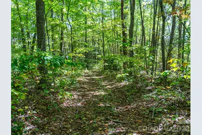 00 Orion Davis Road, Waynesville, NC 28786 - Photo 26