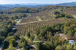 3 Edna Oaks Rd, Hendersonville, NC 28792 - Photo 40