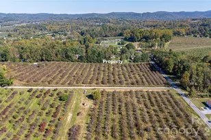 3 Edna Oaks Rd, Hendersonville, NC 28792 - Photo 38