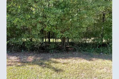 0000 Nc 138 Highway, Norwood, NC 28128 - Photo 4