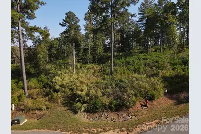 3060 & 3078 Jumping Run, Connelly Springs, NC 28612 - Photo 4