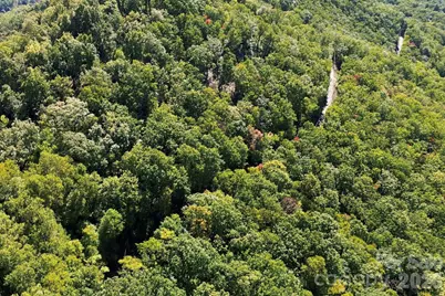 99999 Harrison Hill Road, Swannanoa, NC 28778 - Photo 18