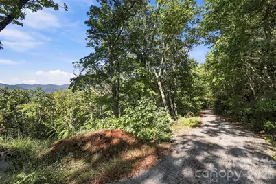 99999 Harrison Hill Road, Swannanoa, NC 28778 - Photo 6