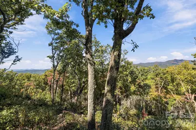 99999 Harrison Hill Road, Swannanoa, NC 28778 - Photo 2