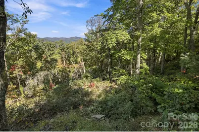 99999 Harrison Hill Road, Swannanoa, NC 28778 - Photo 4