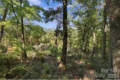 99999 Harrison Hill Road, Swannanoa, NC 28778 - Photo 12