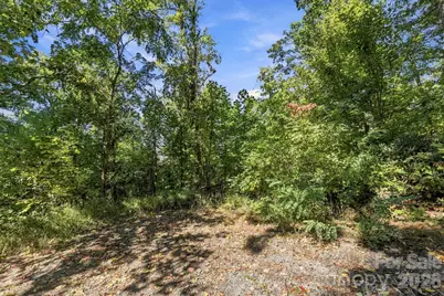 99999 Harrison Hill Road, Swannanoa, NC 28778 - Photo 8