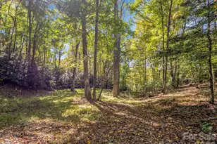 396 Patton Mountain Rd, Pisgah Forest, NC 28768 - Photo 1
