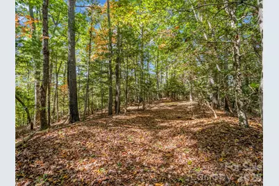 396 Patton Mountain Road, Pisgah Forest, NC 28768 - Photo 30