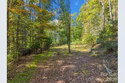 396 Patton Mountain Road, Pisgah Forest, NC 28768 - Photo 6