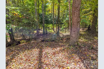 396 Patton Mountain Road, Pisgah Forest, NC 28768 - Photo 8