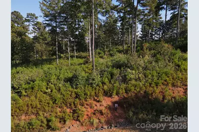 3038 Jumping Run, Connelly Springs, NC 28612 - Photo 4