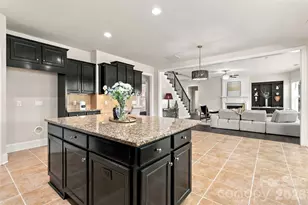 18317 Lilliesleaf Glenn Ln, Charlotte, NC 28277 - Photo 16