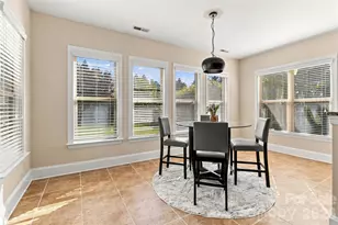 18317 Lilliesleaf Glenn Ln, Charlotte, NC 28277 - Photo 12